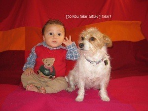A baby boy and a dog sitting on a red background.