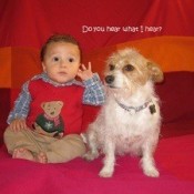 A baby boy and a dog sitting on a red background.