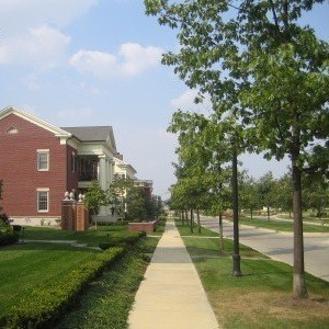 Trees next to sidewalk