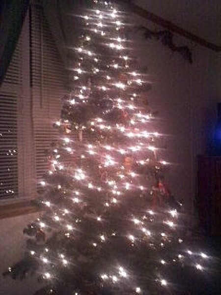 Christmas Tree lit at night