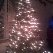 Christmas Tree lit at night