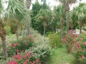 Moody Garden