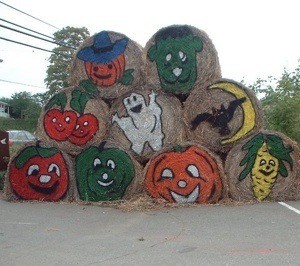 Rolled hay bales decorated for fall and Halloween.