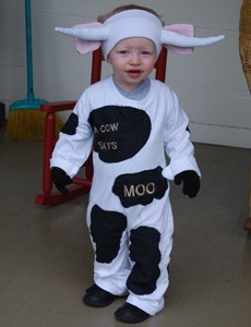 toddler in cow costume