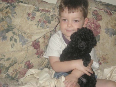 A small boy holding a black toy poodle.