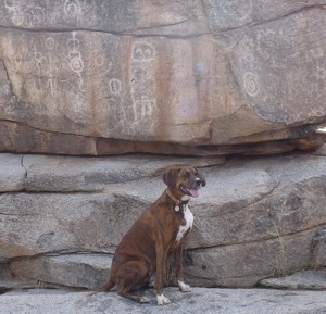 Browning sitting on sandstone ledge in front of pictographs.