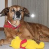 Max with Pooh toy.
