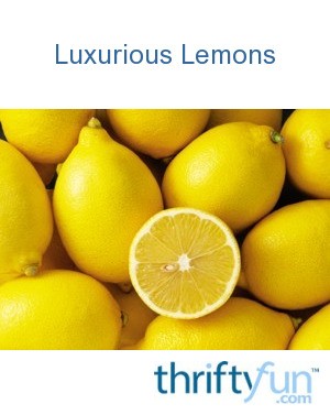 Luxurious Lemons | ThriftyFun