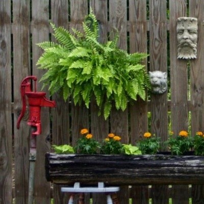 Old Log Planter