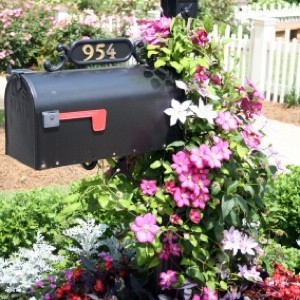 Landscaping Your Mailbox