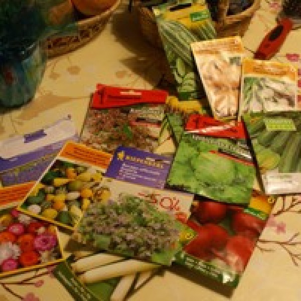 How Long Can You Store Seeds? | ThriftyFun