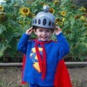 Child in Grover costume