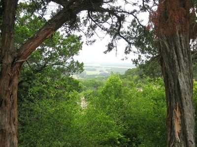 texas scenery greem