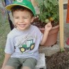 A small boy pointing at the garden tomatoes growing in a pot.