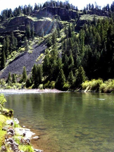 Photo of river with evergreen trees in background reflecting on the surface.