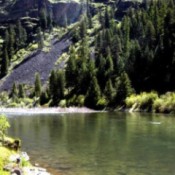 Photo of river with evergreen trees in background reflecting on the surface.