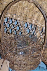bird nest basket