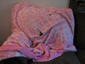 A worn pink blanket.