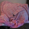 A worn pink blanket.