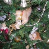 cats in Christmas tree
