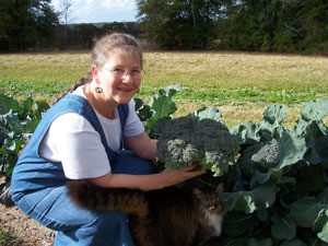 Growing Organic Vegetables at Home