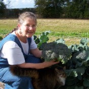 Growing Organic Vegetables at Home