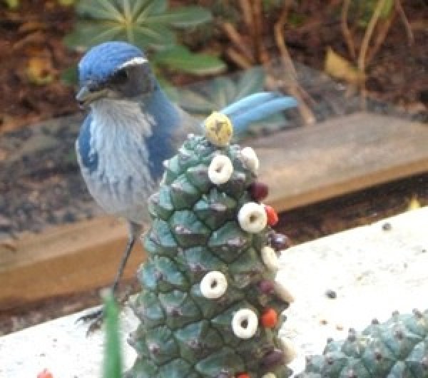 A bird next to a Christmas tree decoration with Cheerios.