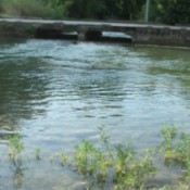 bridge over river