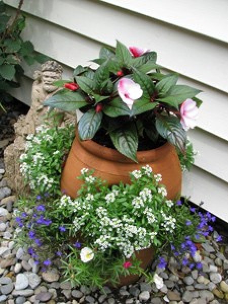 Garden flowers planted in a strawberry pot.