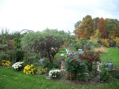 Garden with autumn trees in background.