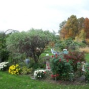 Garden with autumn trees in background.