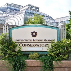 Five Great Reasons To Visit a Botanical Garden