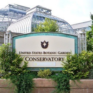 5 Great Reasons To Visit A Botanical Garden Thriftyfun