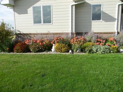 Flowers in front of house.