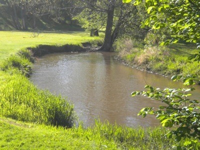 river scenery