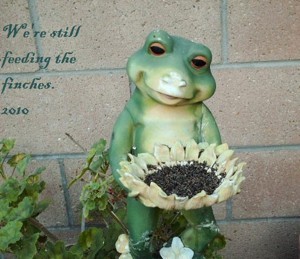 A garden frog birdfeeder sculpture.