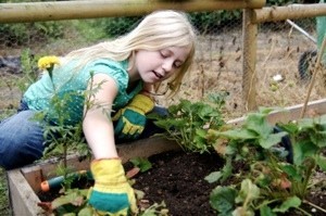 Young girl gardening.