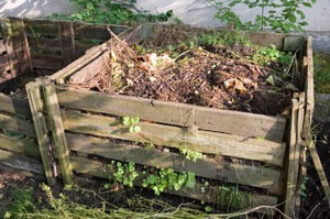 wood sided compost pile