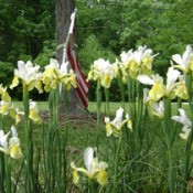 Yellow Memorial Flowers