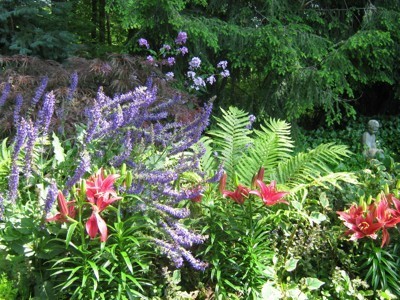 Flowerbed After Weeding