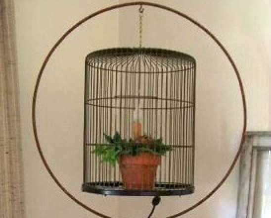 Bird Cage Night Light