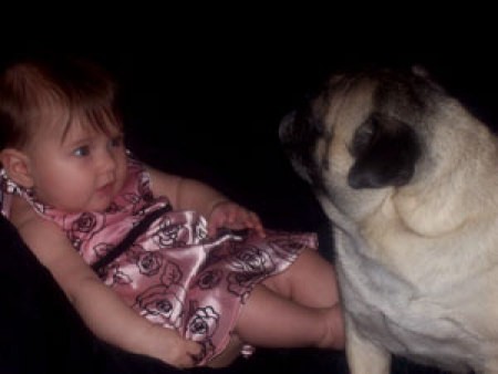 A pug looking at a baby.