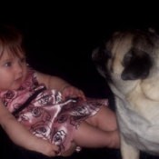 A pug looking at a baby.