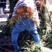 Mooning Scarecrow