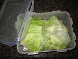 container with a head of lettuce