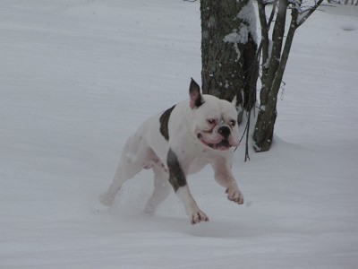 Gabe running in snow.
