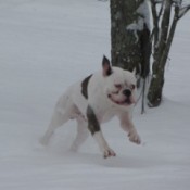 Gabe running in snow.