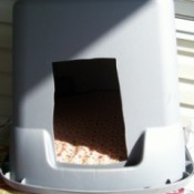 Plastic tub shelter for cats.