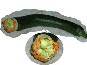 Garden: Weird Zucchini