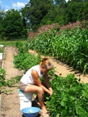 A woman sitting on a covered bucket while weeding in the garden.